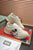 LW-GCI  Rhyton Chunky MK Sneaker 063
