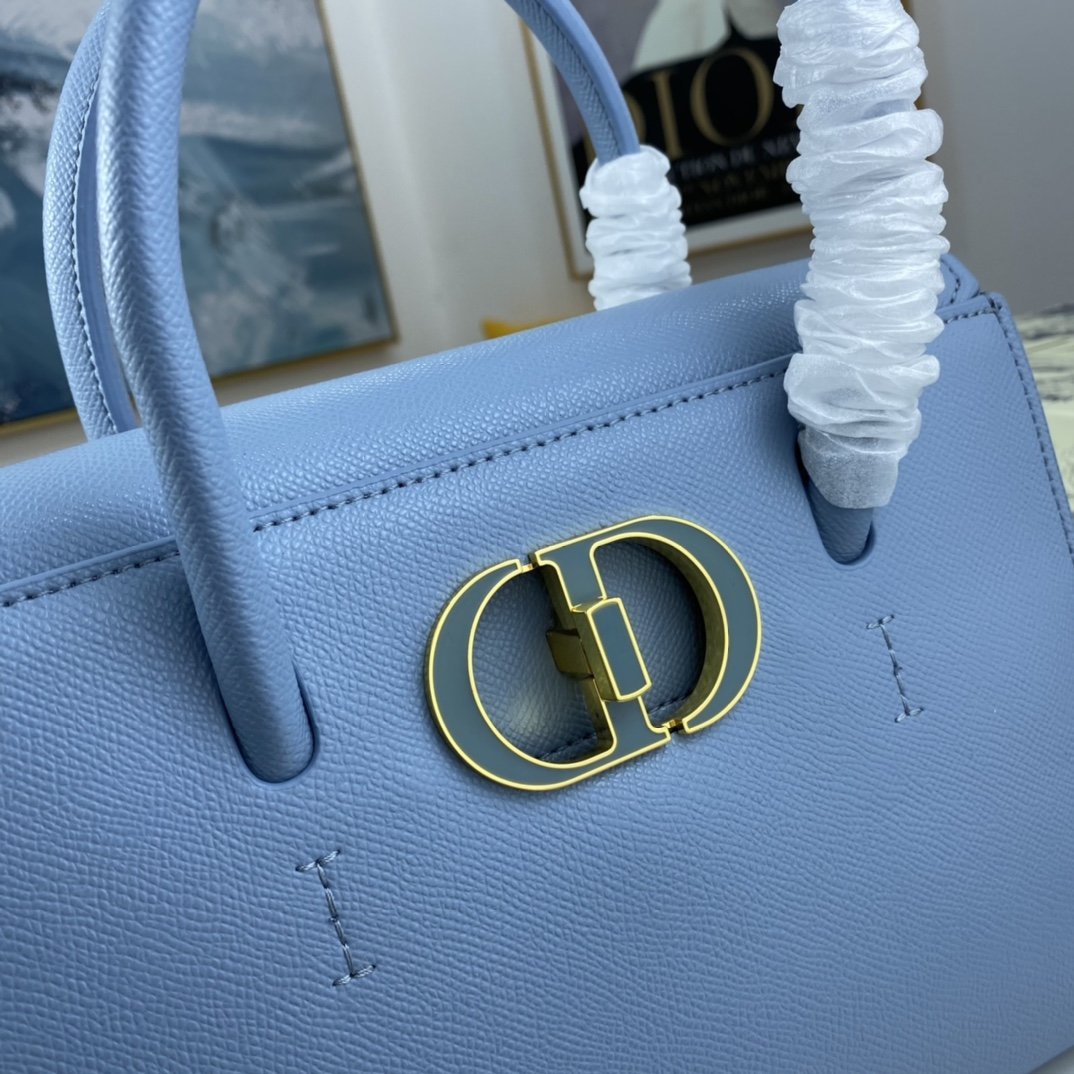 LW - Luxury Handbags DIR 077