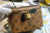 LW - Luxury Handbags LUV 248