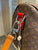 LW - Luxury Handbags LUV 483