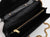 LW - Luxury Handbags SLY 074