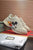 LW-GCI  Rhyton Chunky MK Sneaker 063